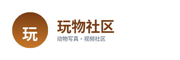 玩物社区